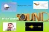 What causes sound? · Word Meaning intensity The loudness or volume of a sound. pitch How high or low a note sounds. vibrate Move backwards and forwards. amplitude Half the height