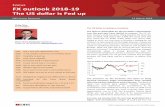 Focus FX outlook 2018-19 open for business”, President Donald Trump has stopped complaining about a strong greenback but his protectionist tendencies remain a concern. Nonetheless,