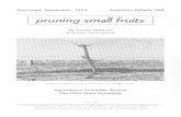 pruning small fruits - COnnecting REpositories · Pruning Small Fruits By VERNON PATTERSON, Extension Horticulturist The fruiting habit of small fruits should be considered in the