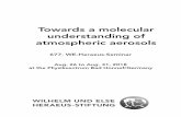 Towards a molecular understanding of atmospheric aerosols€¦ · processes, especially those related to aerosols, impart our predictive capabilities for future environmental development.