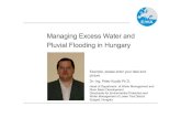 Managing Excess Water and Pluvial Flooding in Hungary · Managing Excess Water and Pluvial Flooding in Hungary Managing of excess waters: in connection with forecasts, in connection