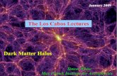 The Los Cabos Lectures - BCCPbccp.berkeley.edu/beach_program/presentations09/CATBwhite1.pdf · EPS statistics for the standard ΛCDM cosmology Millennium Simulation cosmology: Ω