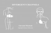DIVERGENT CHANNELS - maciociaonline.com€¦ · The Divergent channels’ pathways are described in chapter 11 of the “Spiritual Axis” as pairs with the same Yin-Yangpairing as