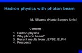 Contents - conference-indico (Indico) · Change of mass and width in nuclear matter Partial restoration of chiral symmetry Hadron tomography 3D imaging of hadron Generalized parton