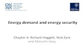 Energy demand and energy security - University of Exeter€¦ · Energy demand and energy security Chapter 6: Richard Hoggett, Nick Eyre and Malcolm Keay . Two big questions 1 Why