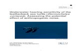 Underwater hearing sensitivity of the leatherback sea ... reports/5279.pdf · effect of anthropogenic noise. U.S. Dept. of the Interior, Bureau of Ocean Energy Management, Headquarters,