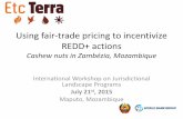 Using fair-trade pricing to incentivize REDD+ actions · Cashew nuts in Zambézia, Mozambique International Workshop on Jurisdictional Landscape Programs July 21 st, 2015. Maputo,