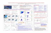 Numerical Simulation of Hurricane Emily (2005 ... · cloud ice + rain + snow + graupel Summary Hurricane Emily’s intensity forecast is very sensitive to varying cloud microphysics