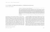 A revision of Rhynchanthera (Melastomataceae)renners/Rynchanthera_NJB1990.pdf · Nord. J. Bot. - Section of tropieal taxonomy A revision of Rhynchanthera (Melastomataceae) Susanne