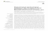 Phytochemical and Ecological Analysis of Two Varieties of ... · Cannabigerolic acid (CBGA), synthetized from geranyl diphosphate and olivetolic acid, is the central precursor of