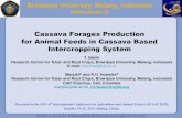 Cassava Forages Production for Animal Feeds in Cassava ...€¦ · -Cassava leaves contain high quantity of protein with good amino acids composition for animals as reported by several