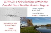ICARUS: a new challenge within the · LAr TPCs are suitable detectors for neutrino physics: ... Cosmic rays from T600 surface test run + low energy CNGS beam events Cosmic-related