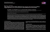The Role of 18 F-FDG PET/CT in Large-Vessel Vasculitis ...downloads.hindawi.com/journals/bmri/2014/687608.pdf · Review Article The Role of 18 F-FDG PET/CT in Large-Vessel Vasculitis: