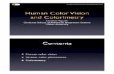 Human Color Vision and Colorimetryvision-lab.tp.chiba-u.jp/~yaguchi/CCUworkshop2012_web.pdf · Human Color Vision and Colorimetry Hirohisa Yaguchi ... Color contrast and color assimilation