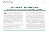 Desert Termites - Texas A&M University...plants are less dense and productive (Nash et al., 1999; Tracy et al., 1998). During a 3-year study on the Texas High Plains, desert termite