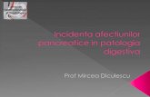 INTRODUCTION: Epidemiology of pancreatic diseasesscumc.ro/wp-content/uploads/2013/11/1.Epidemiology... · Pancreatita cronica Incidenta PC este de 3,5 - 4 / 100 000 locuitori. Prevalenta/Predominanta