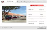 Josey Place Shopping Center 13920 Josey Ln. Farmers Branch ...€¦ · Yessis Beauty Salon 109 1,200 VACANT 110 1,675 SITE PLAN SUITE # SQUARE FEET 105 107 110 1,723 SF 1,250 SF 1,675