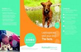 Leptospirosis and your dog. The facts. - Pet Health Network · Leptospirosis and your dog. The facts. Fast facts about leptospirosis in dogs • All dogs are at risk for contracting