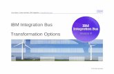IBM Integration Bus Transformation Optionsdemey-consulting.net/.../IIB_TransformationOptions.pdf · ESQL Java PHP .NET Give an overview of each technology and how to use them in the