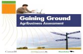 Agribusiness Assessment - Province of Manitoba · business structure (ex: sole proprietorship, partnership, corporation). 8. Understand the affect of your business structure on your