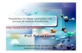 Prof. Rafael Luqueuest.ntua.gr/iwwatv/proceedings/presentations/21_May/... · 2015. 9. 7. · Mechanochemistry (milling) Transformations of platform molecules Biomass valorisation
