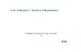 CA ERwin® Data Modeler - ftpdocs.broadcom.com ERwin Data... · CA ERwin Data Modeler News and Events Visit to get up-to-date news, announcements, and events. View video demos and