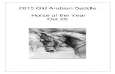 2015 Qld Arabian Saddle Horse of the Year Oct 25€¦ · A’Seduction x Ya’Noangel Rider- Alex Strange 132. JK Manhattan Owner- Jemma Martin Chaswyck Toi Boi x Danai Rider- Kym