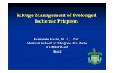 Salvage Management of Prolonged Ischemic Priapism · trial of intracavernous injection of sympathomimetics has failed. Management ischemic priapism . Management ischemic priapism