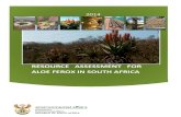 RESOURCE ASSESSMENT FOR ALOE FEROX IN SOUTH AFRICAaloesa.co.za/Aloe ferox Report.pdf · Resource Assessment for Aloe ferox in South Africa iii FOREWORD South Africa is the third most
