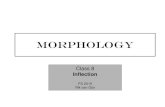 Morphology - UZH... · 4. Productivity What is productivity? A morphological pattern or rule is productive if it can be applied to new bases to create new words - Productivity is