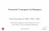 New Neonatal Transport in Hungary · 2011. 6. 23. · Background . Neonatal Care in Hungary -’80. 10 million inhabitants in Hungary. Total number of birth 92,000 - 96,000 per year