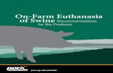 On-Farm Euthanasia of Swine Recommendations for the Producerd3fns0a45gcg1a.cloudfront.net/sites/all/files/documents/CommonSwine... · 4 It is inevitable that on every swine farm,