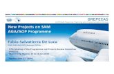 SAM Priorities in Aerodromes...plans proposed by the experts in the Seminar-Workshop (18ADPLAN), this Project proposes : Regional ANP alignment proposal - National ANP in relation