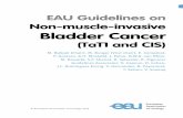 EAU Guidelines on Non-muscle-invasive Bladder Cancer · 5.10.2.3 Monopolar and bipolar resection 14 5.10.2.4 Office-based fulguration and laser vaporisation 14. NON-MUSCLE-INVASIVE