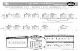 Guitar Solo - Little Kids Rock · 2014. 2. 26. · IN THE STYLE OF... E A S Y Strum Patterns Guitar Solo Standard Notation “THE MAN” (Easy Version) by Aloe Blacc 0 3 G Major Scale