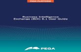 Business Intelligence Exchange (BIX) 8.1 User Guide · When BIX runs as a standalone Java program outside of the Pega Platform, the server that BIX runs on must be able to access