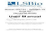 User Manual (Sandwich ELISA ) ELISA Kit Human COL7A1 ... · Specificity : This kit is for the detection of Human COL7A1 / Collagen VII. No significant cross-reactivity or interference