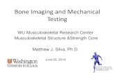 Bone Imaging and Mechanical Testing · Musculoskeletal Research Center 6/20/2014 . microCT – cancellous analysis • Cancellous Outcomes* – Bone volume fraction (BV/TV) – What