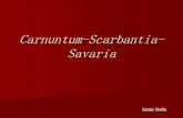 Carnuntum-Scarbantia- Savaria - Kanizsai Dorottya Gimnázium · Carnuntum The time of the Romans in Carnuntum is not in the long-ago past, which can be seen by a few remains of walls,
