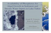 Availability of Phosphorus for Algal Growth in Sediment ...€¦ · Robert G. Qualls University of Nevada, Reno John Reuter University of California, Davis. Rationale Phosphorus is