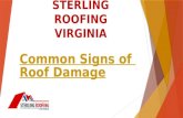 Common Signs of Roof Damage