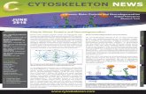 Post-translational Modifications - Essential for Protein ... · This newsletter focuses on the role Eg5 (KSP, kinesin spindle protein, KIF11, kinesin-5) and kinesin-1 have in AD-associated