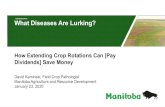 What Diseases Are Lurking?...Previous Crop Crop Planted Spring Wheat Oat Barley Canola Flax Field Pea Soybean Sunflower Grain Corn Sp Wheat 85 94 95 102 104 103 102 103 96 Oat 91 79