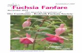The Monthly Newsletter of The Camborne - Redruth Fuchsia …btckstorage.blob.core.windows.net/site9722/Newsletter... · 2013. 11. 6. · John Doyle Chairman 01326 565225 jmdoyle121@tiscali.co.uk
