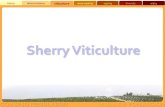 SherryViticulture - Sherry Wineshistory denominations viticulture wine-making ageing diversity enjoy ROTA & Mainclimaticfactors Mildwinters (4ºC/40ºF),veryhotsummers (40ºC/104ºF).