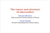 The nature and structure of obscuration...The nature and structure of obscuration Roberto Maiolino Astronomical Observatory of Rome Guido Risaliti Arcetri Astrophysical Observatory