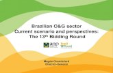 Brazilian O&G sector Current scenario and perspectives ... · Current Scenario Proven Reserves Oil – 16.2 billion barrels Gas – 471 billion m3 Near Future: x2 Production (feb/2015)