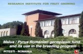 Malus / Pyrus Romanian germplasm fund and its use in the ...archive-ecpgr.cgiar.org/.../MALUS_2012/19_Romania_Militaru.pdf · History • 1877 - “Pomological sketches” by Mate
