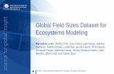 Global Field Sizes Dataset for Ecosystems Modeling · – 130 000 unique locations, 390 000 tasks completed! • Area proportions of different field sizes by countries • Area proportions