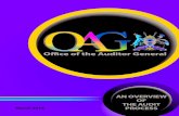 AN OVERVIEW OF - OAG · 2016. 8. 30. · THE AUDIT PROCESS 6 The Supreme Audit Institution of Uganda The Supreme Audit Institution of Uganda 7 1. Pre- Engagement Activities (ISSAI